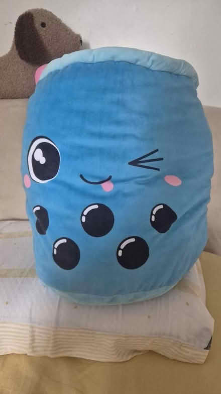 Photo of free Blue boba cushion (Bellingham SE6) #1