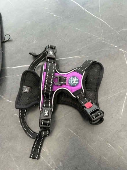 Photo of free Dog harness (Woolton L25) #1