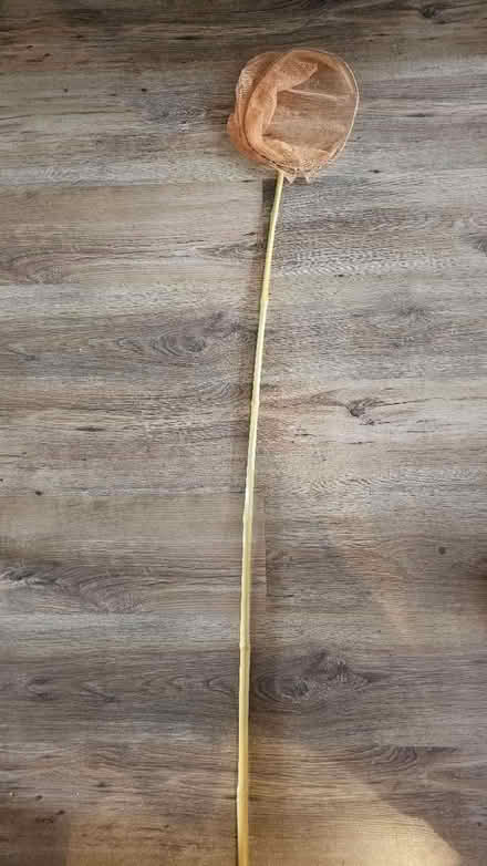 Photo of free Kids fishing net (dellfield AL1) #1