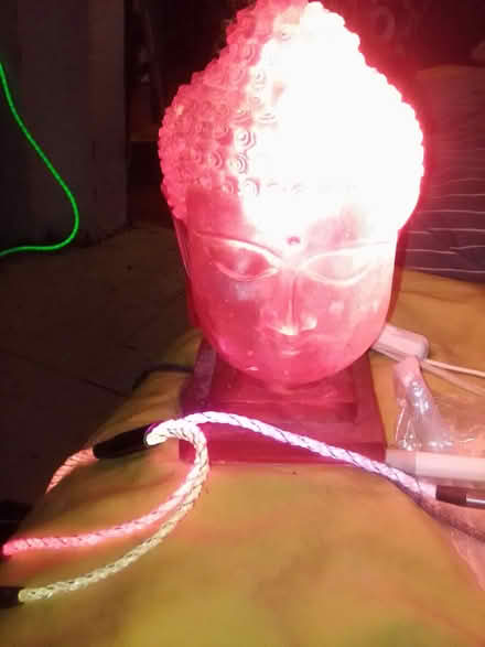 Photo of free Hot Pink Buddha Head 10031 (Hamilton Heights 10031) #3