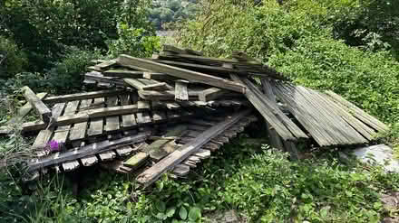 Photo of free Wood (Pontypridd CF37) #1
