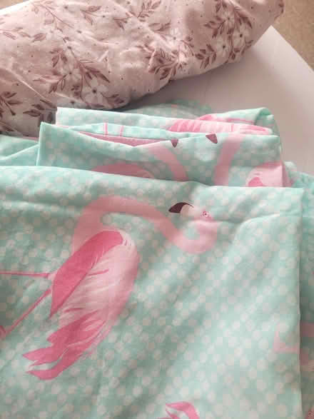 Photo of free Double bedding and mugs (Church RG2) #2