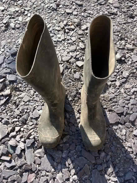 Photo of free Wellies size 6.5 adult (Penisarwaun LL55) #1