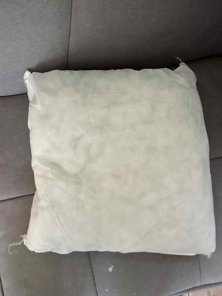 Photo of free Cushion (Norton S8) #1