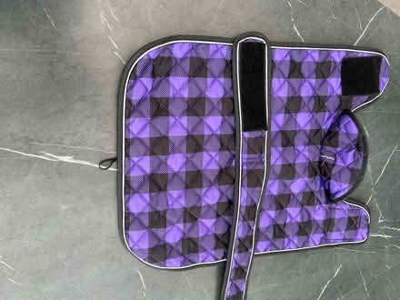 Photo of free Quilted dog coat (Woolton L25) #3