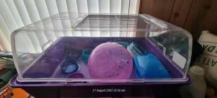 Photo of free Hamster Equipment (Larwood S81) #3