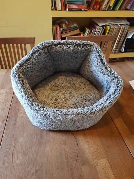Photo of free Small unused cat bed (Tw9 4lh) #2