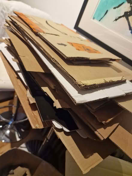 Photo of free cardboard boxes (various sizes) & packaging paper (Standon SG11) #1
