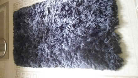 Photo of free Shaggy Rug (Clive Vale TN35) #1