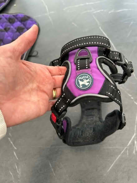 Photo of free Dog harness (Woolton L25) #2
