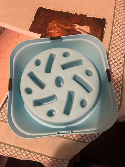 Photo of free Plastic dog puzzle food bowl (Rochester ME1) #2