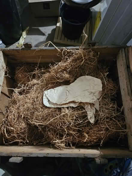 Photo of free Vintage hay or straw (60202) #3
