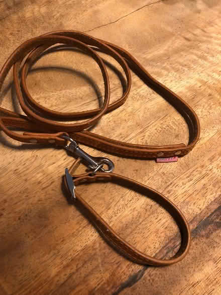Photo of free Leather puppy lead and collar (Egerton Park CH42) #1