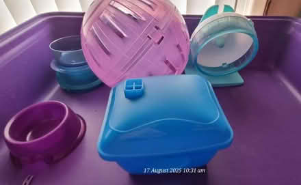 Photo of free Hamster Equipment (Larwood S81) #1