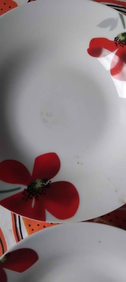 Photo of free Dinner plates (Dublin) #2