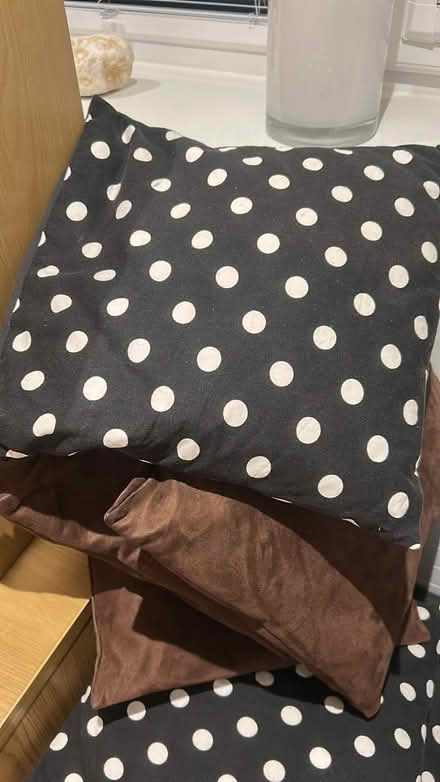 Photo of free 4 spotty cushions & covers (Tonbridge) #1
