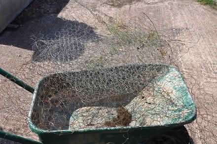 Photo of free Wire netting (Taunton) #2