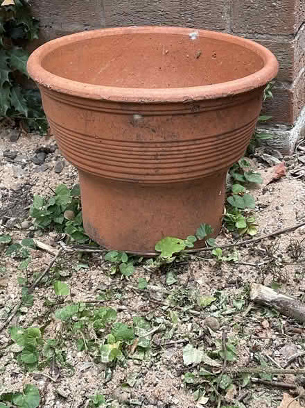 Photo of free Plant Pots (Whaley Thorns NG20) #2