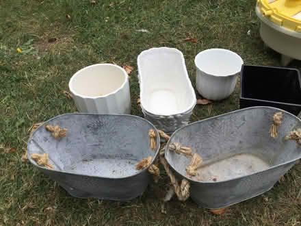 Photo of free Plant pots (Eye) #1