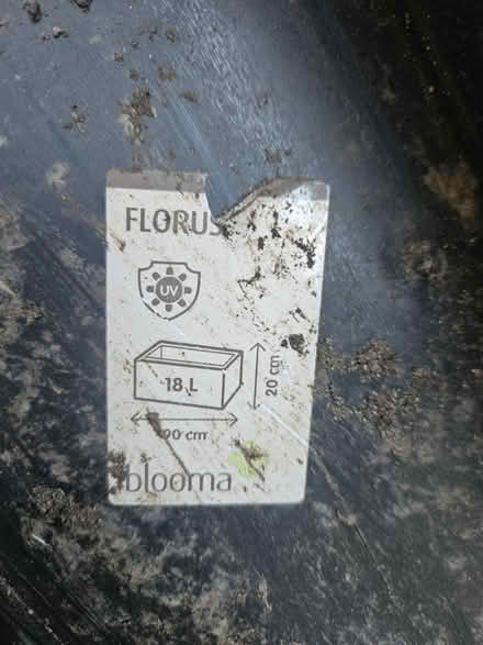 Photo of free 18l plant trough (Camberwell) #2