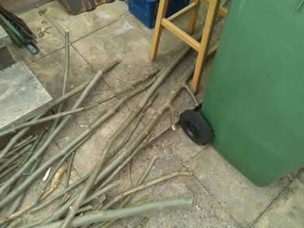 Photo of free ash tree branches (Gledhow LS8) #2