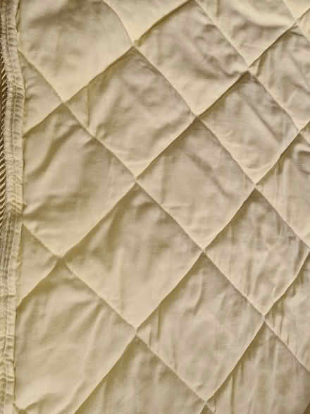 Photo of free Bedspread and pillow (Oswestry SY10) #3