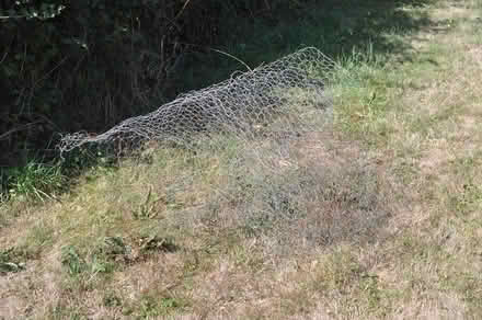 Photo of free Wire netting (Taunton) #1
