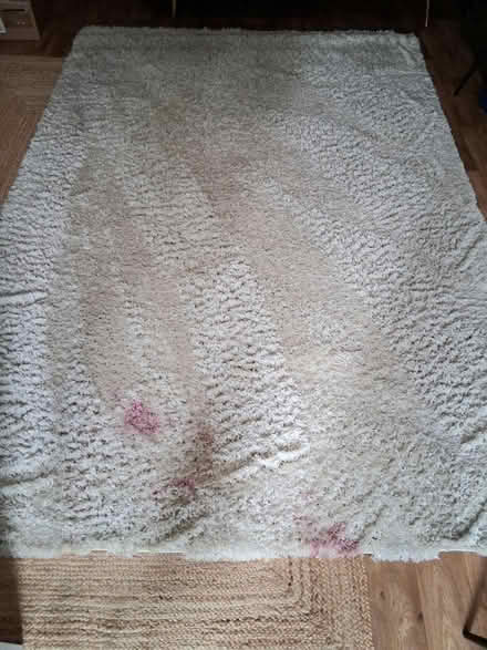 Photo of free Large deep cream rug with wax spill (Hitchin SG5) #4