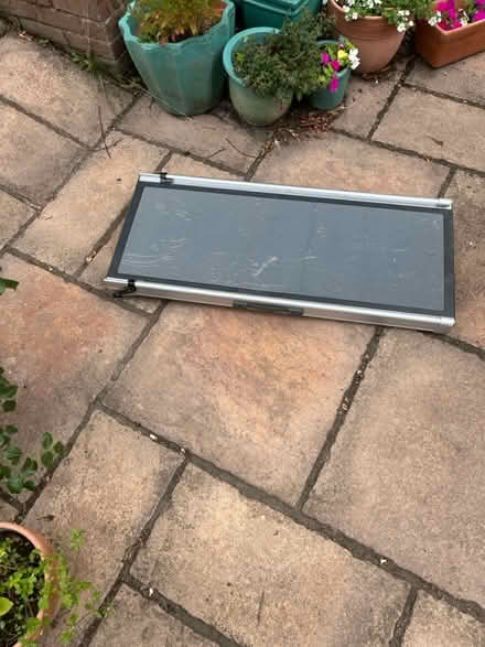 Photo of free Portable dog ramp (SP11. Near Thruxton) #2