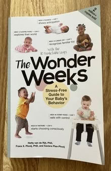 Photo of free The Wonder Weeks book (Lakewood Village) #1