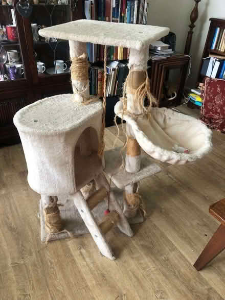 Photo of free Cat Play Tower (Beaumaris LL58) #1