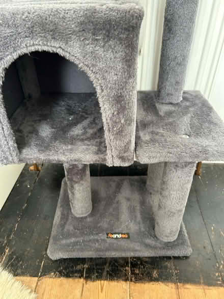 Photo of free Cat tower / tree (Worcester) #3