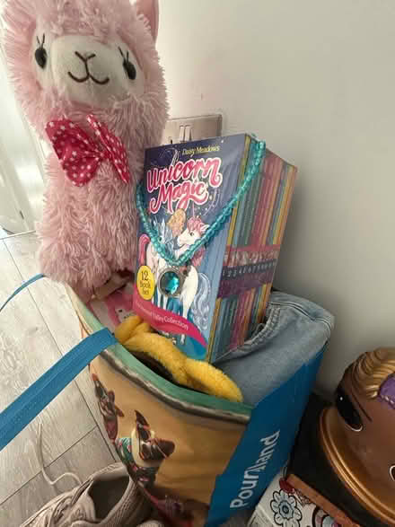 Photo of free Girls books, toys, clothes and shoes (Brimsdown EN3) #2