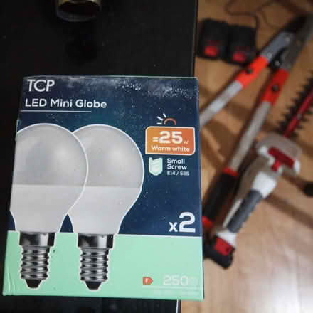 Photo of free mini screw bulbs (Oakwood LS8) #1