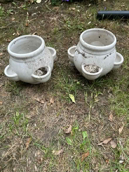 Photo of free Plant pots in white (Longsight M18) #1