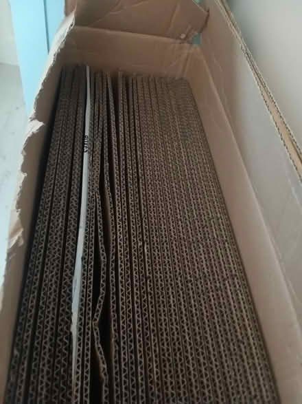 Photo of free House move boxes and packing (stalybridge SK15) #3