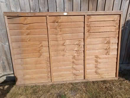Photo of free Larch lap panel (Didcot OX11) #1