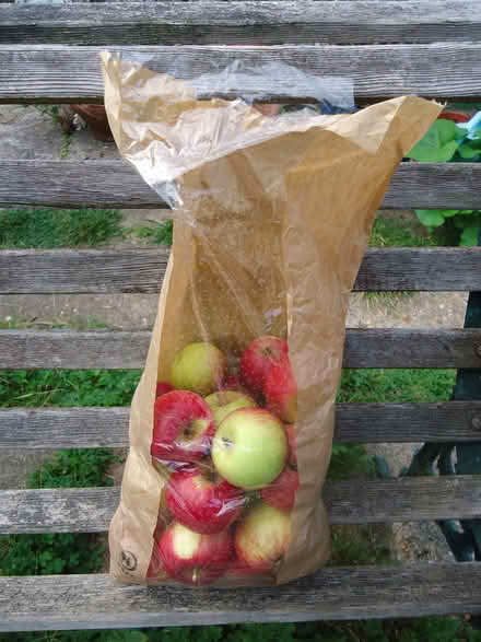 Photo of free Cooking apples, organically grown (Willingdon BN20) #1