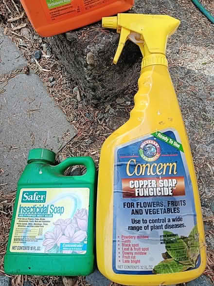 Photo of free Ant, Roach, and Garden Pesticides (Ballard) #2