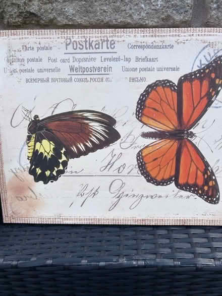 Photo of free Portraits x3 (Bolton le Sands LA5) #3