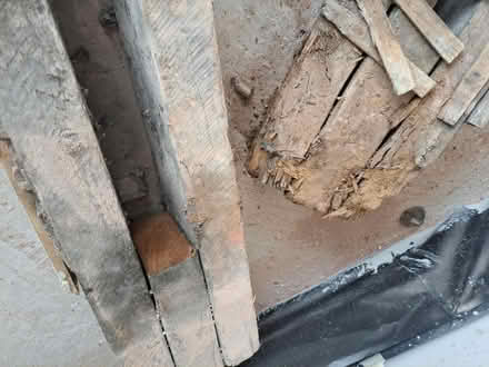 Photo of free Old timber joists (Heswall) #4