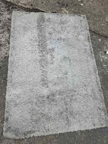 Photo of free Grey Rug from Dunelm (Treeton S60) #2