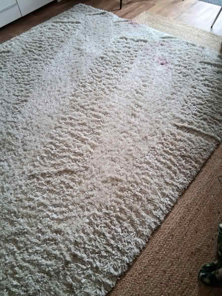 Photo of free Large deep cream rug with wax spill (Hitchin SG5) #2