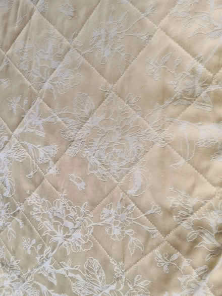 Photo of free Bedspread. (Oswestry SY10) #4