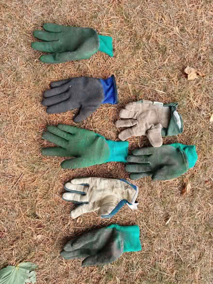 Photo of free Gardening gloves, left handed only (Willaston CH64) #1