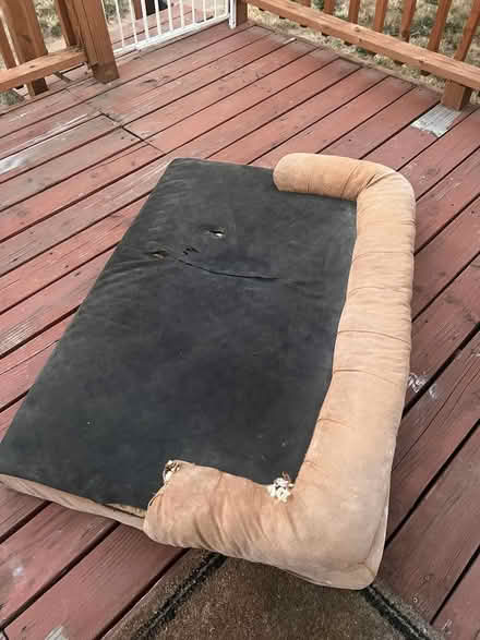 Photo of free XXL sized Dog bed (Near Safeway NE 75th/Sandy) #1