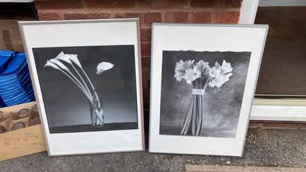 Photo of free 2 large IKEA pictures in sliver frames (Neath Hill MK14) #1