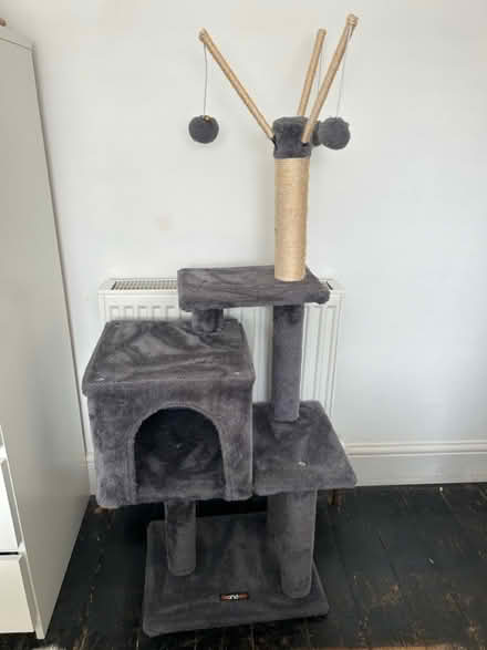 Photo of free Cat tower / tree (Worcester) #1