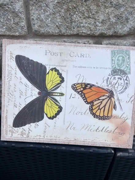 Photo of free Portraits x3 (Bolton le Sands LA5) #1