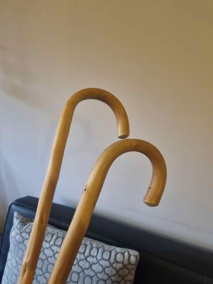 Photo of free Walking sticks (SE20) #2